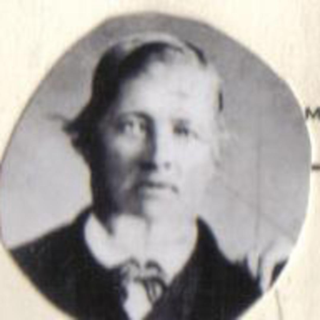 James Dinsdale (1817 - 1888) Profile